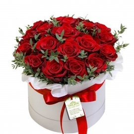 Arrangement Â«Bright Red Flower BoxÂ»