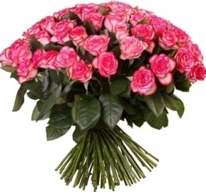 51 Adorable Pink Roses (51 Roses)