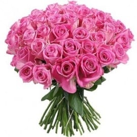 Awesome Pink Roses (55 Roses)