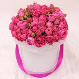 Perfect Pink Roses