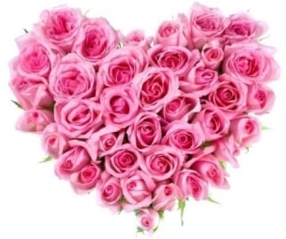 Glorious Pink (35 Roses)