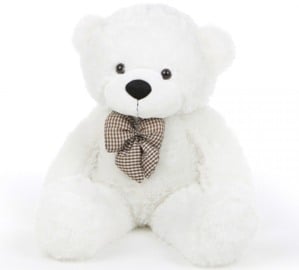 White Teddy (Medium - 35 cm)