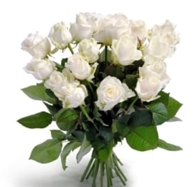 White Roses Bunch (21 Roses)