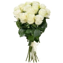 White Luxurious Roses (15 Roses)