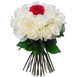 35 Roses For Special Blessing (35 Roses)