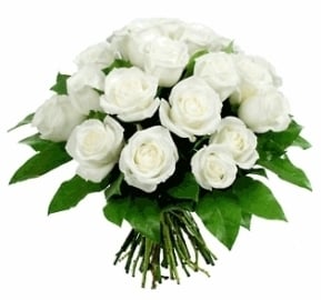 25 White Roses Bouquet (40cm)
