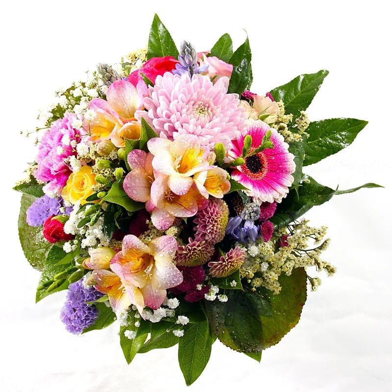 Springtime (Small)