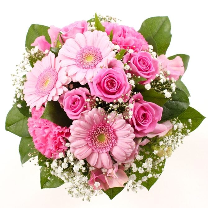 Rose - 21149