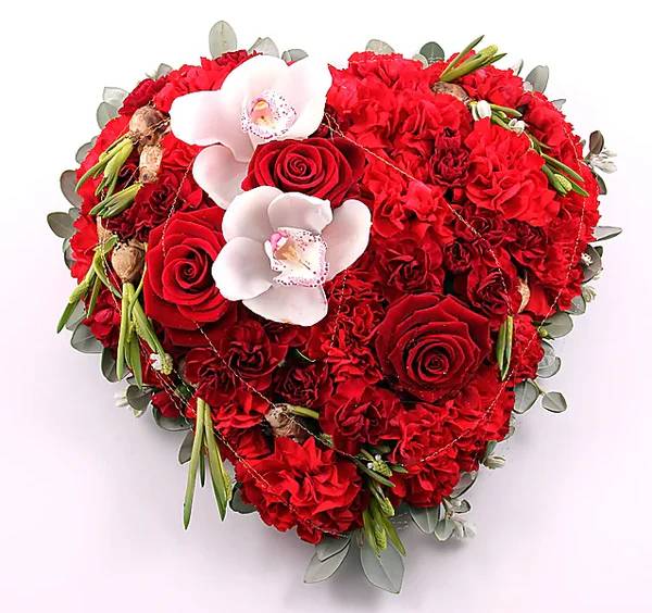 Lots of love