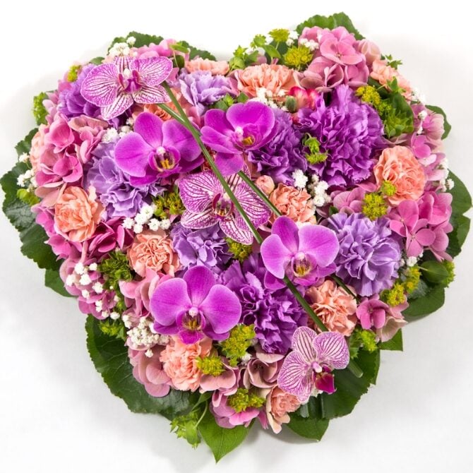 Heart