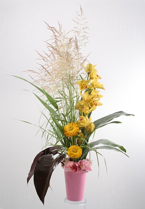 High Still Life - 36114