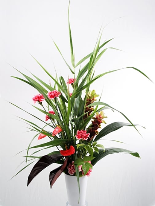 High Still Life - 36115