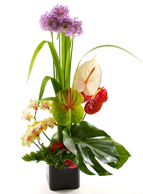 High Still Life - 36119