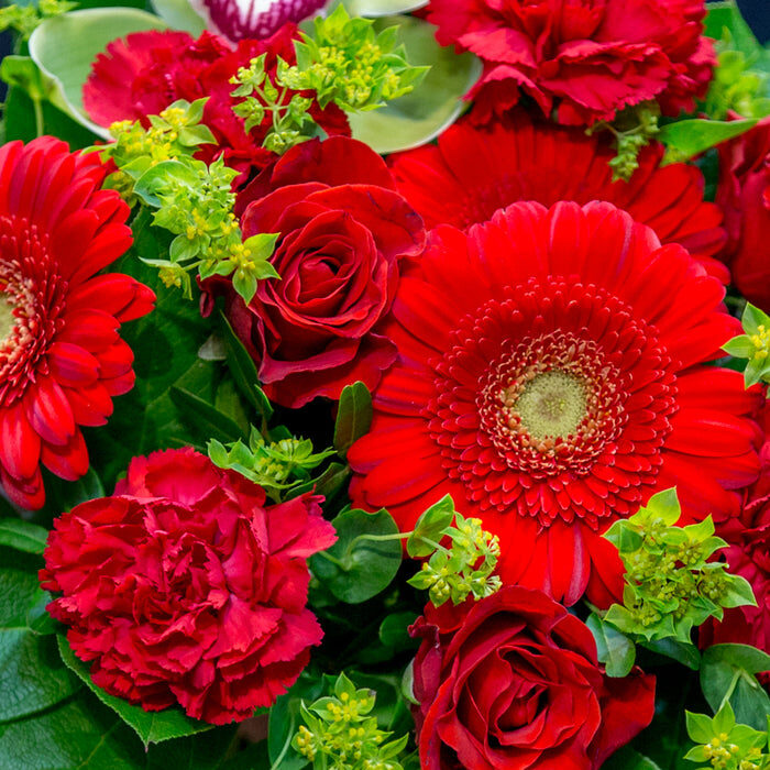 A florist (Medium Size)