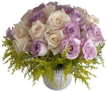 24 Color roses in bucket