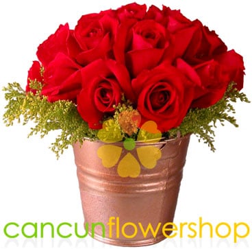 24 Red roses in bucket