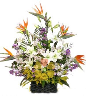 Birds of paradise and lilies