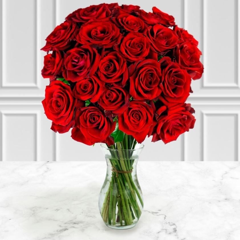 Two Dozen Red Roses