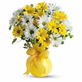 10 White and 10 Yellow Daisies (Standard)