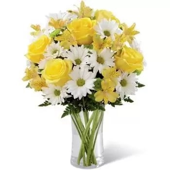 5 Roses, 10 Daisies, 5 Astemaria (Standard)