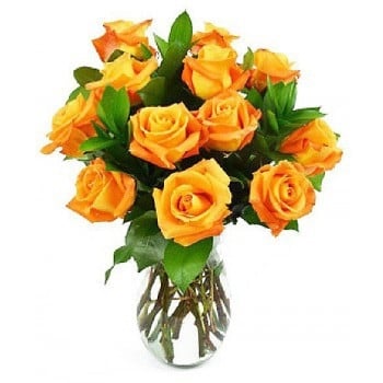12 Orange Roses (Standard)