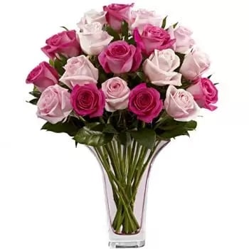 18 Roses (Standard)