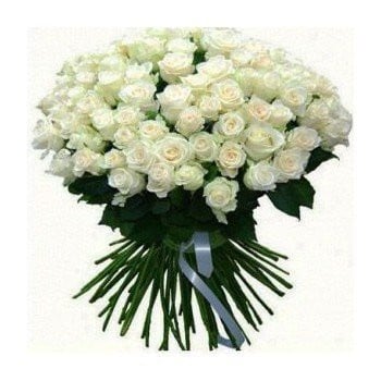 100 White Roses (Standard)
