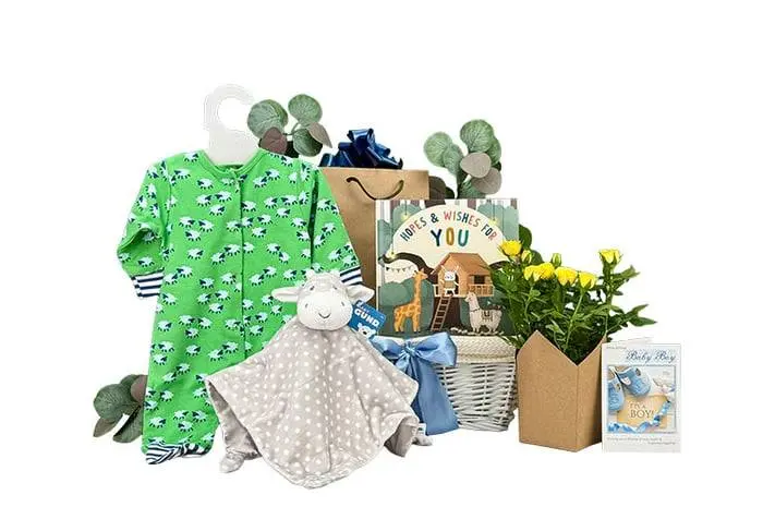 Flowers For Baby Gift Basket Boy
