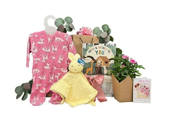 Flowers For Baby Gift Basket Girl