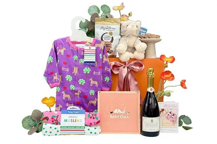 Baby Gifts Time To Celebrate Hamper Girl