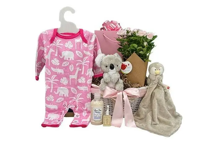 Baby Girl and Family Flower Gift Basket