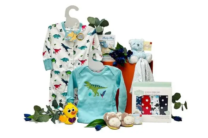 Starter Baby Boy Gift Box