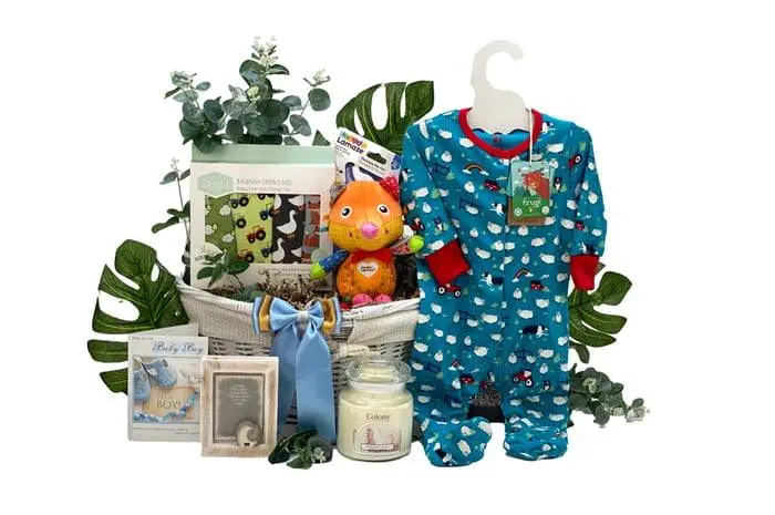 New Arrival Baby Gift Basket Boy