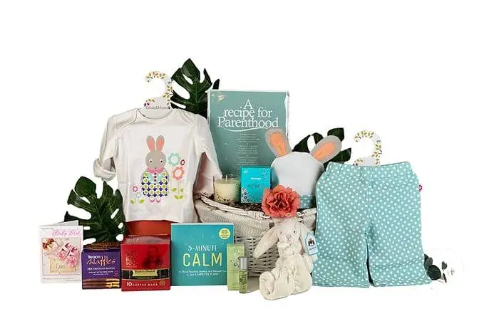 Proud New Parents Gift Hamper Girl