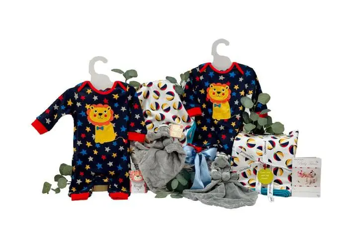 Twins Playtime Boy Gift Basket