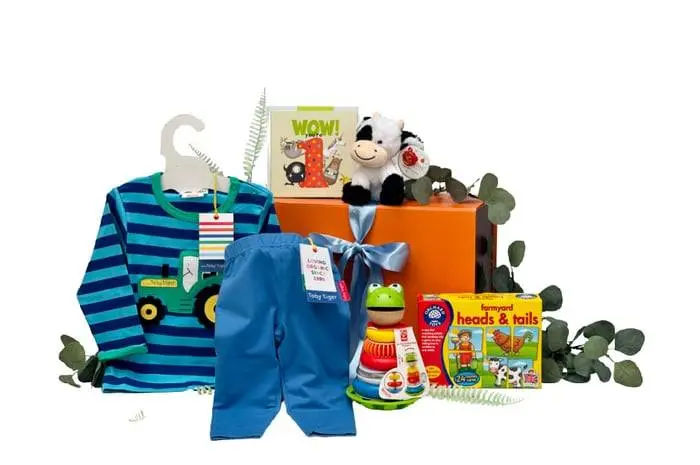 Boys 1st Birthday Gifts