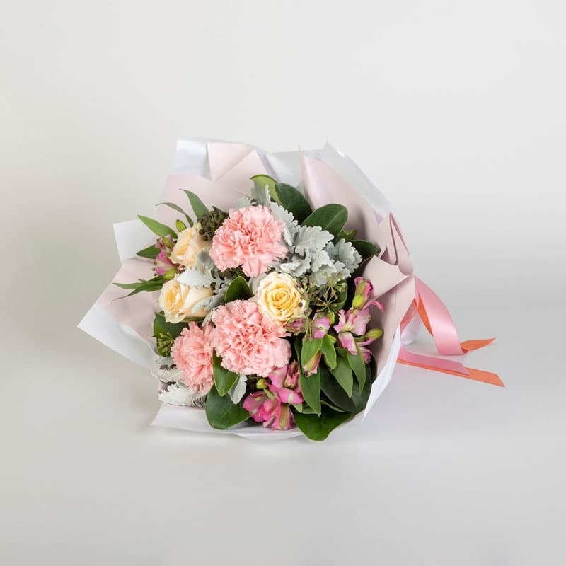 Carnation Amour (Standard)