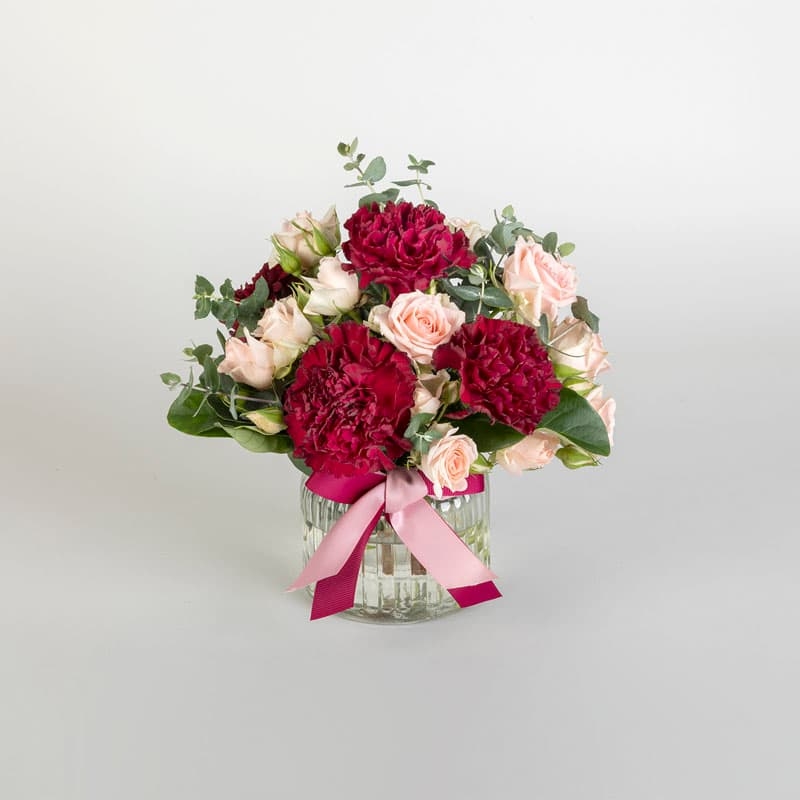 Carnations For Mum (Standard)