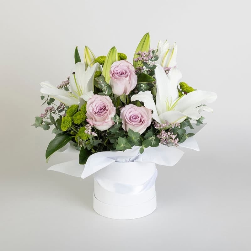 Lily-Rose (Standard)