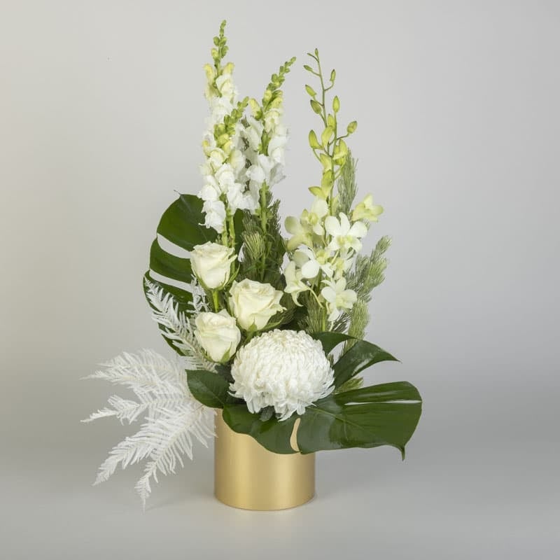 Opulent Orchids