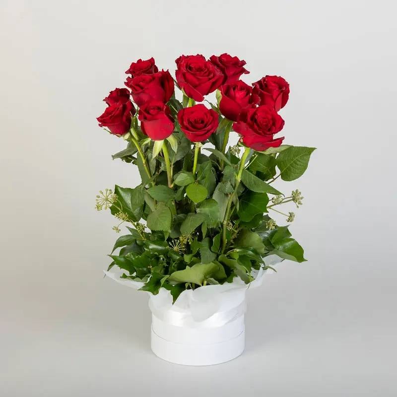 Rose Lover