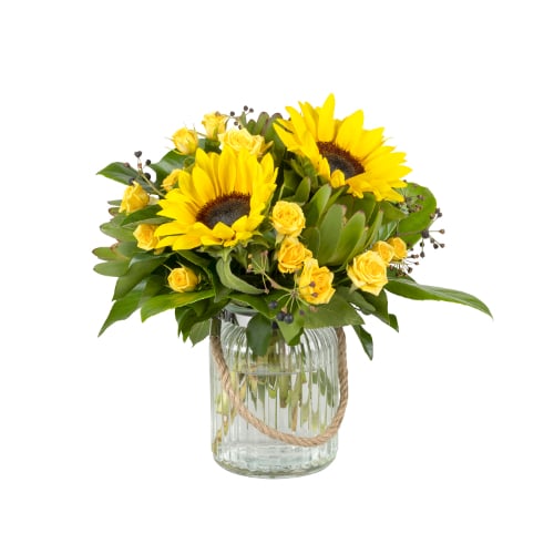 Spring Sunflowers