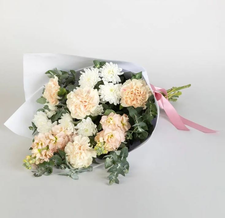 Traditional Carnations (Standard)