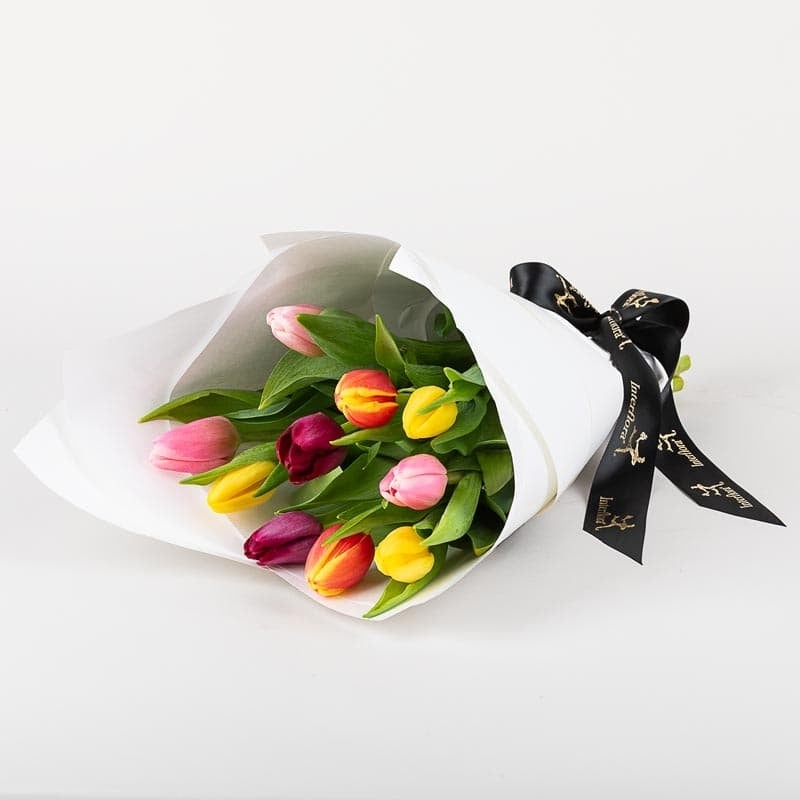 Tulip Bouquet (Standard)