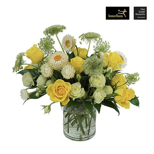Yellow Roses (Standard)