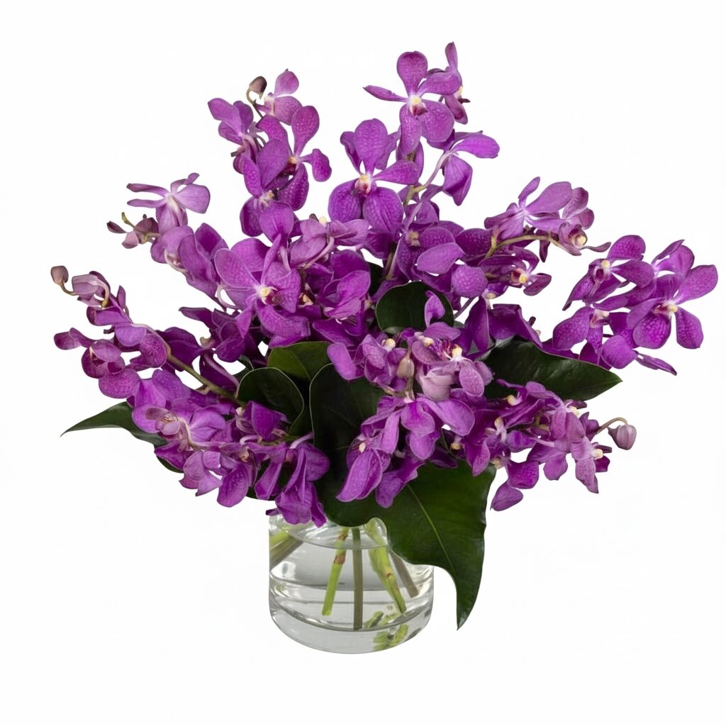 Violet