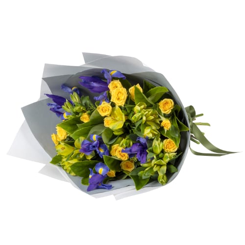 Spring Iris (Standard)