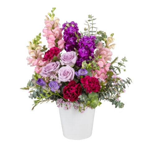 Spring Snapdragons (Standard)