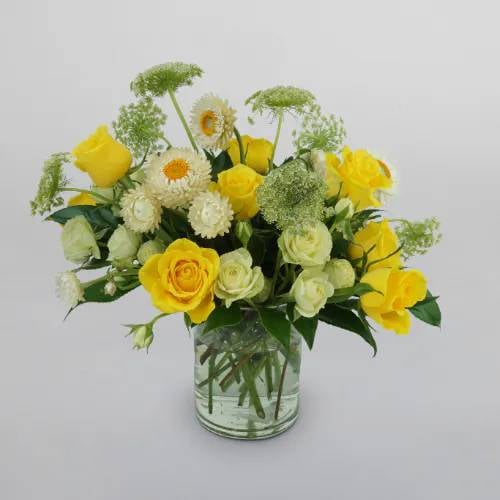 Yellow Roses