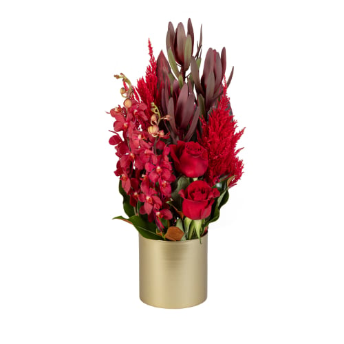 Leucadendron Lover (Standard)